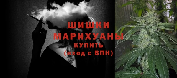 стаф Арсеньев