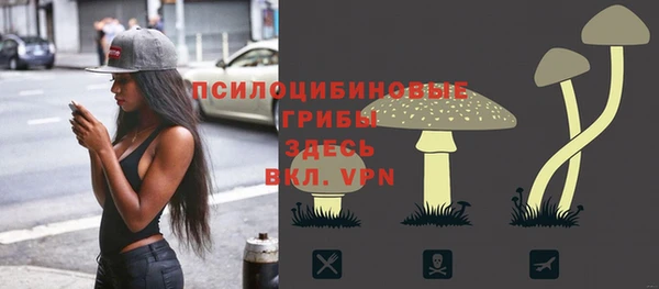 ALPHA PVP Аркадак