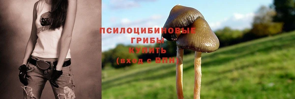 ALPHA PVP Аркадак