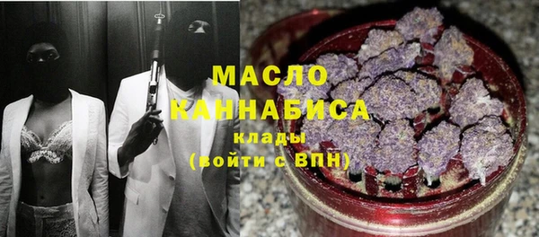 стаф Арсеньев