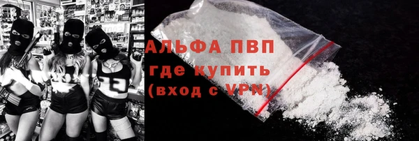 стаф Арсеньев
